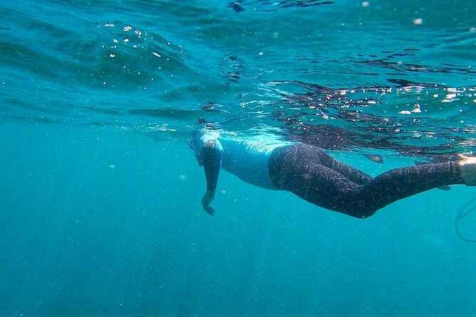 Stand Up Paddle and Snorkeling Tour of Gran Canaria with Transfers south area - The guided coastal paddle: where the time actually goes