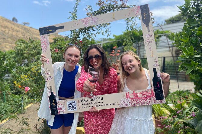 Taste Gran Canaria's unique wines - Price and value: what $116.55 buys you