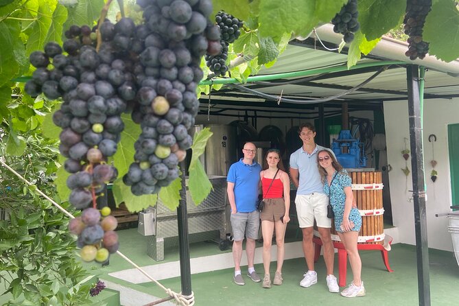 Taste Gran Canaria's unique wines - Who this wine tour fits best