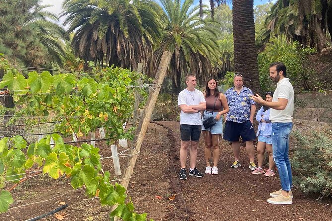 Taste Gran Canaria's unique wines - Practical tips for a smoother day