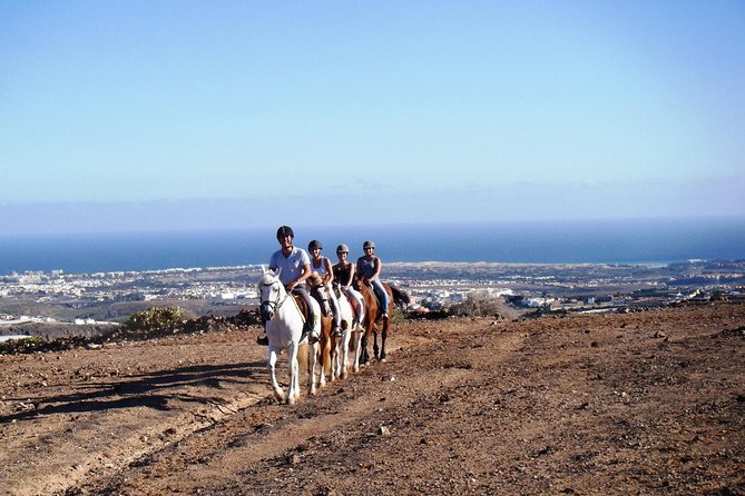 The Best Horse Riding Experience in Gran Canaria (1 hour) - Why this 1-hour horseback ride works so well in Gran Canaria
