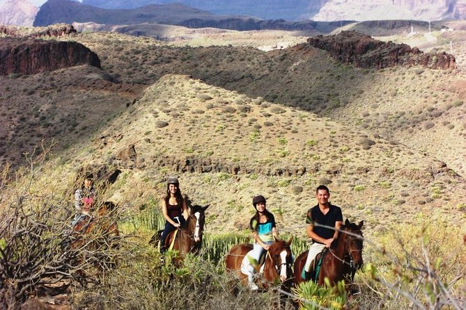 The Best Horse Riding Experience in Gran Canaria (1 hour) - Price and value: is $43.14 worth one hour?