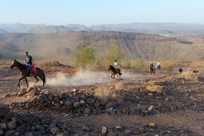 The Best Horse Riding Experience in Gran Canaria (1 hour) - Who this horseback ride is best for (and who should skip it)