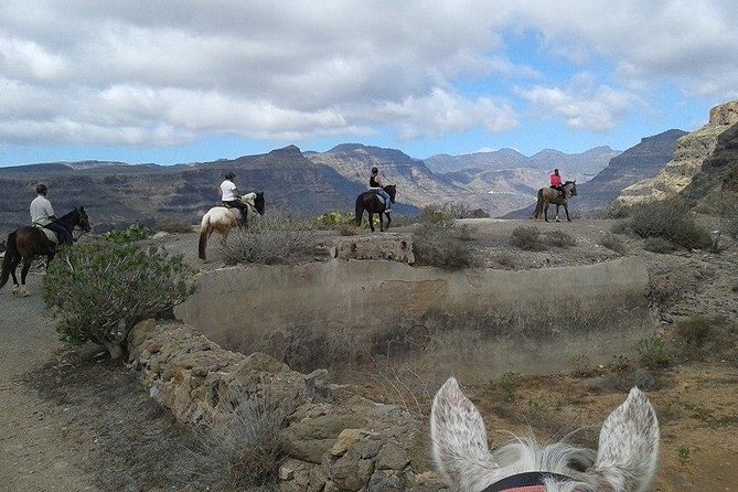 The Best Horse Riding Experience in Gran Canaria (1 hour) - Meet your horse and guide: beginner-to-advanced riding, kept calm