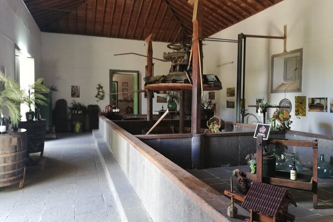The best of Gran Canaria: 4 Hours Private Cruise Tour - Vegueta in Las Palmas: Old Town Walk with a Side of Big-Map History