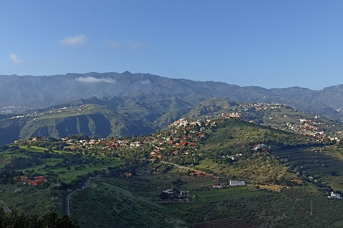 The best of Gran Canaria: 4 Hours Private Cruise Tour - Should You Book This Private Cruise Tour?