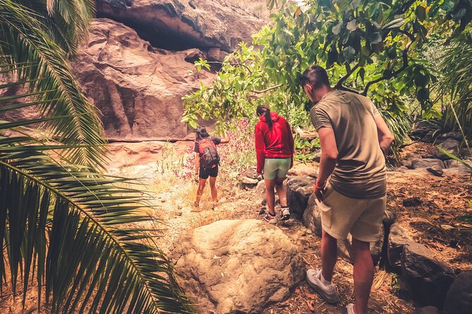 The Red Canyon Tour - Small Group Trip with Local Food Tasting ツ - Playa de Arinaga: how to end the day without feeling rushed