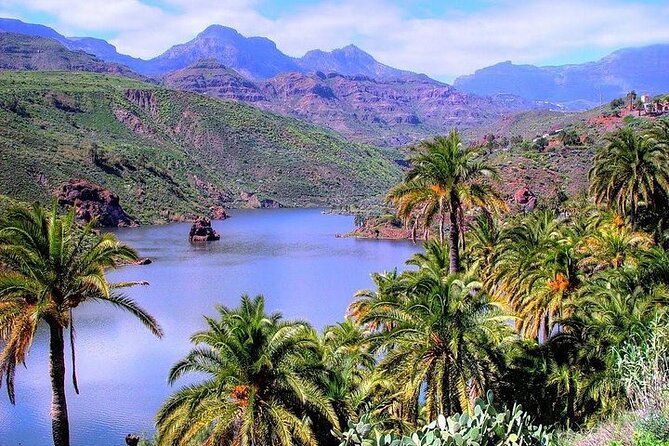 Tour to Guayadeque, Firgas, Fataga - VIP - Tejeda, Tunte, and Fataga: the inland villages that shape the day
