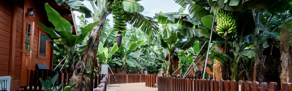 Traditional Gran Canaria: Arucas, Firgas and Teror - Key Stops You’ll Want to Know Up Front