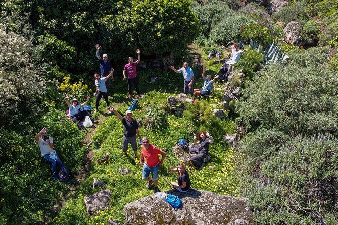 Wanderungen im grünen Gran Canaria - Key takeaways before you go