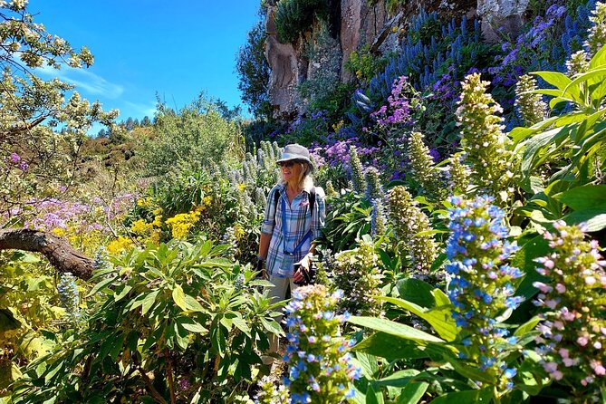 Wanderungen im grünen Gran Canaria - Why January–May Flowers Matter More Than the Route