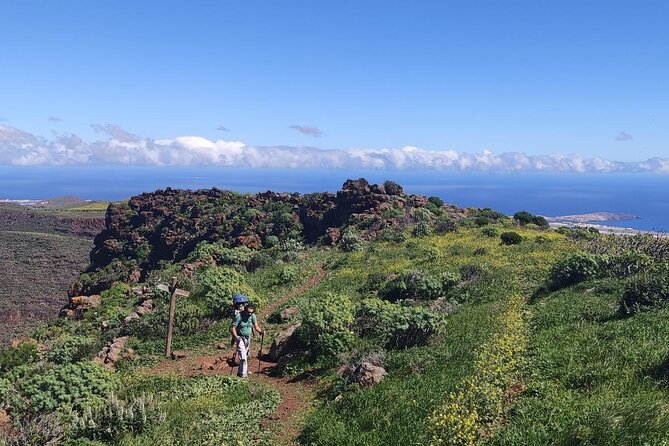 Wanderungen im grünen Gran Canaria - What a Full Day Looks Like: 9:00 Start, 1 Day 8 Hours