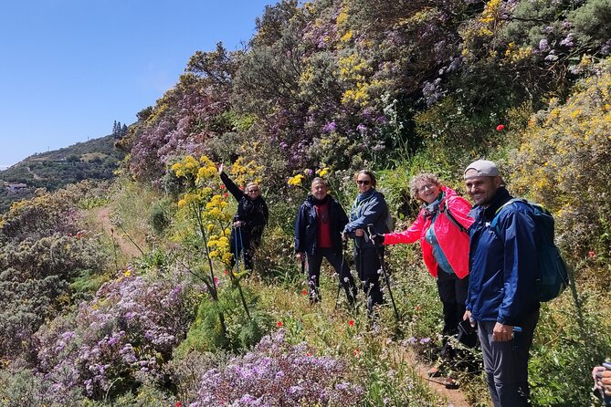 Wanderungen im grünen Gran Canaria - Weather Reality on Gran Canaria: Bloom Days Don’t Always Mean Sunshine