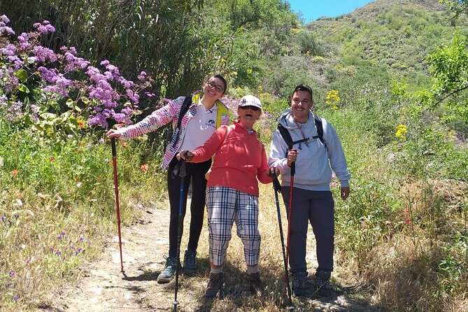Wanderungen im grünen Gran Canaria - Price and Value: You’re Paying for Guidance, Not Just Footsteps