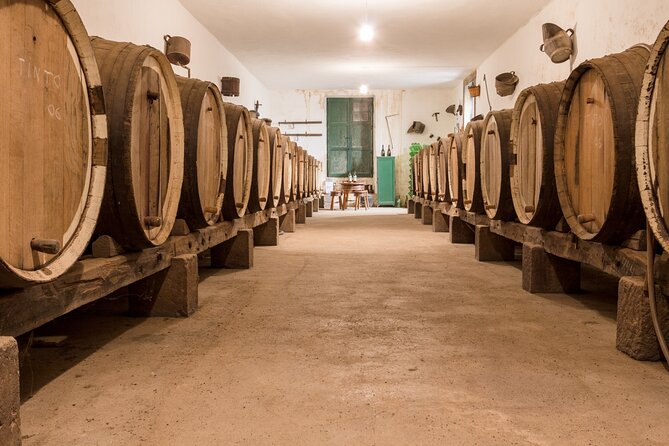Winery Tour, Wine Museum, and Tasting in Gran Canaria - The Organic Vineyard Walk: Sun, Wind, and Volcanic Soil