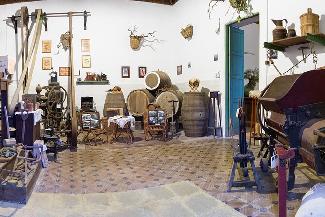 Winery Tour, Wine Museum, and Tasting in Gran Canaria - The Wine Museum Stop: Old Tools, Old Answers